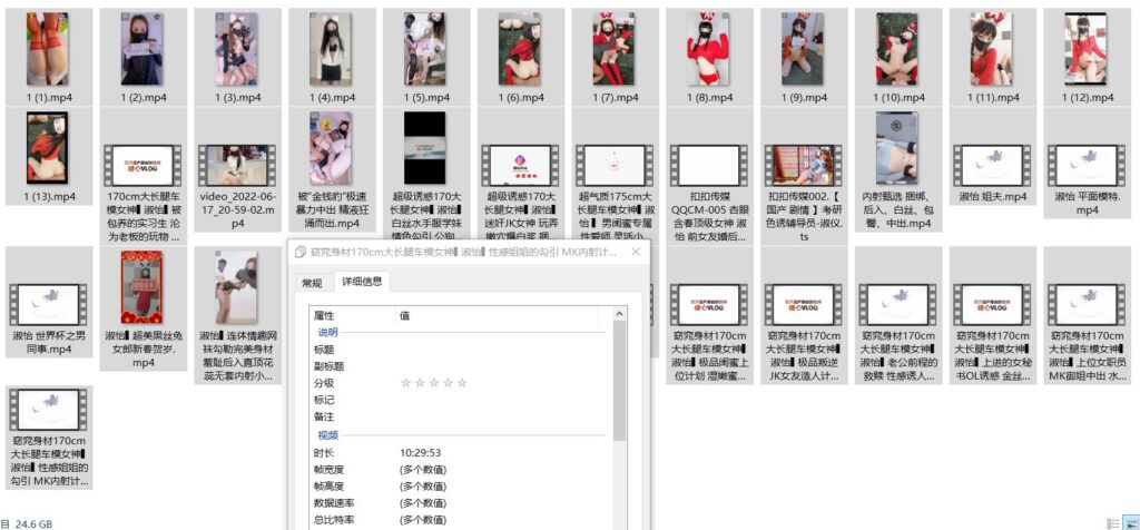 91女神淑怡
