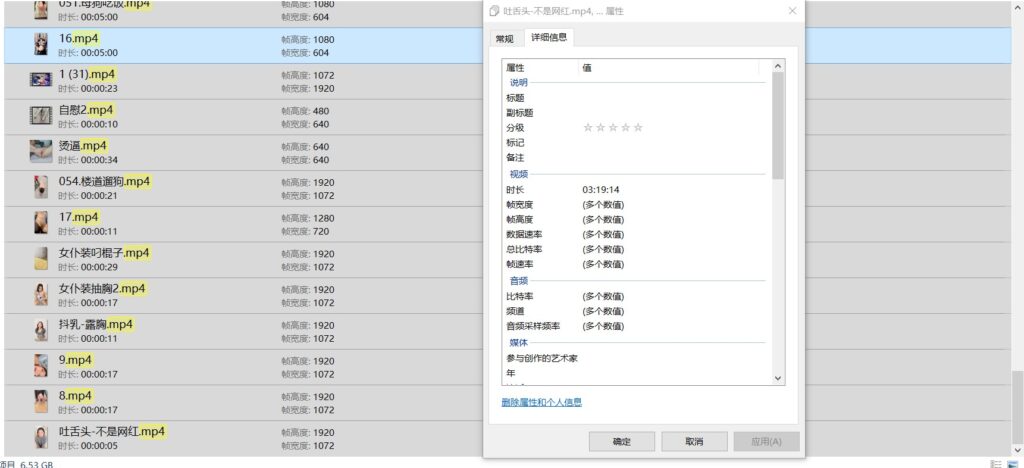 母狗辉夜姬