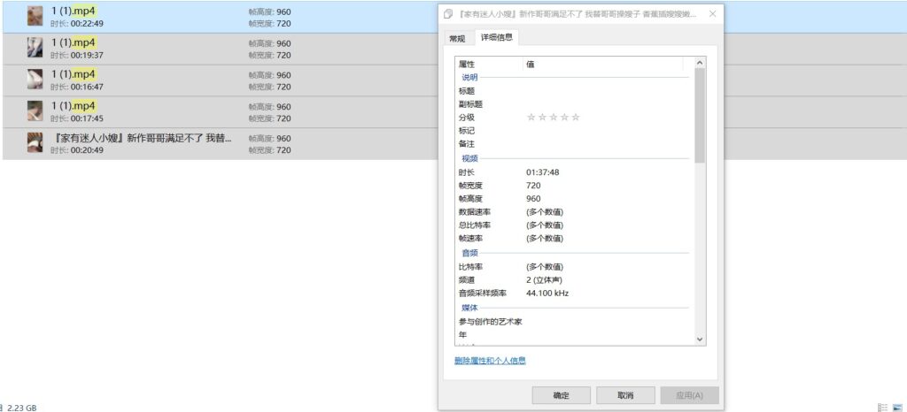 家有迷人小嫂乱伦