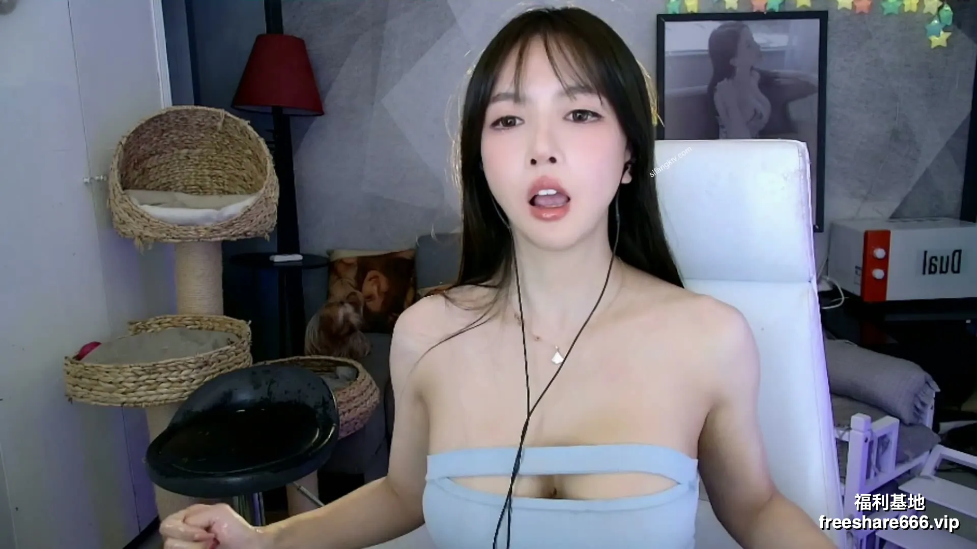 ASMR大艺术嘉